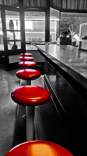 12x24 Blue Bird Stools Print