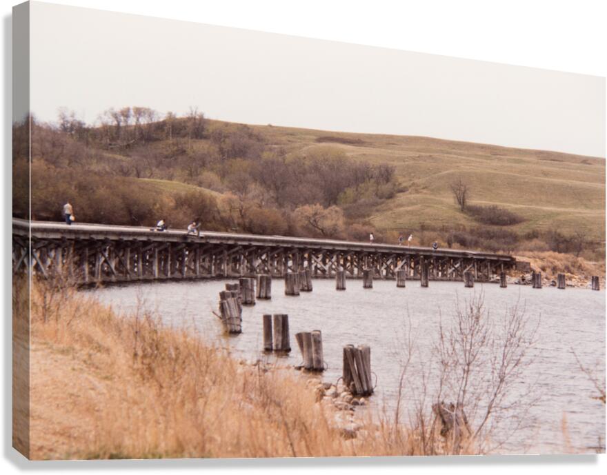 Kinookimaw Tressel Canvas Print