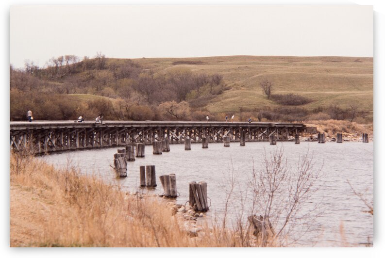 Kinookimaw Tressel by Bryan Bosley