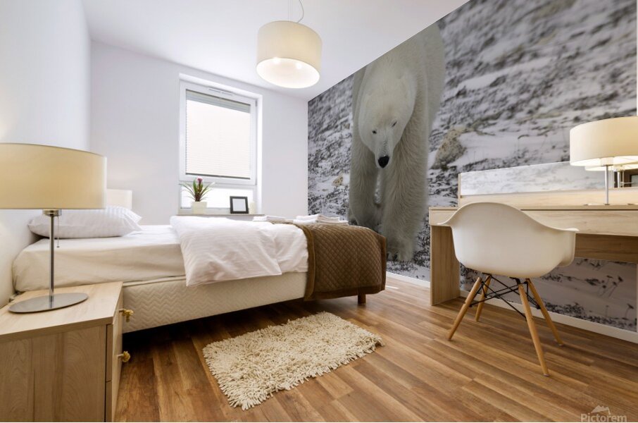 Polar Bear 4578 Mural print