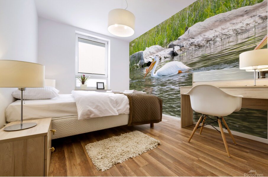 Pelicans 9842 Mural print