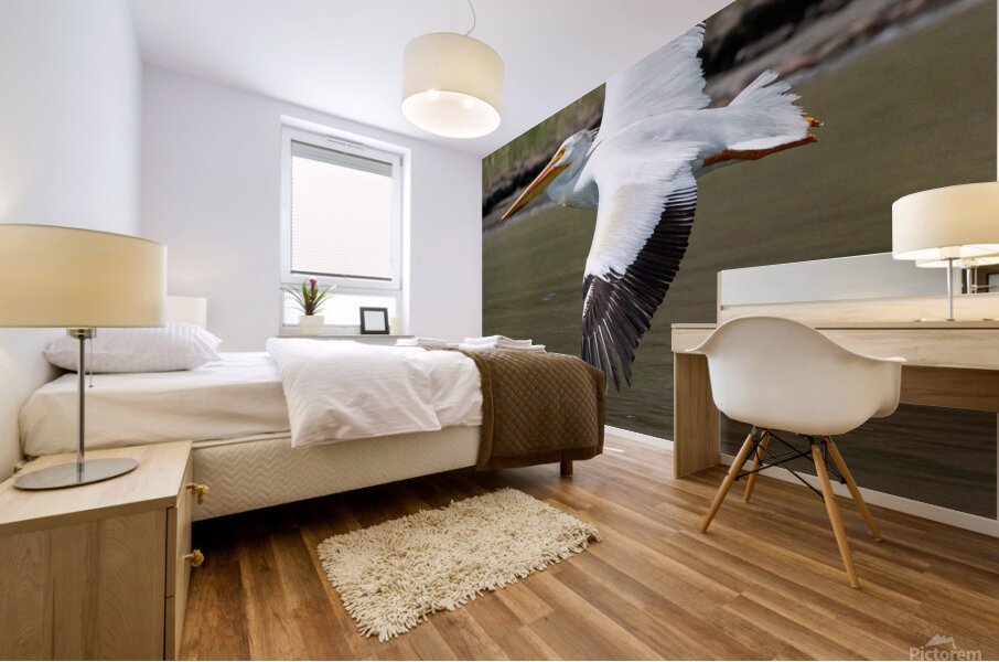 Pelicans 9976 Mural print