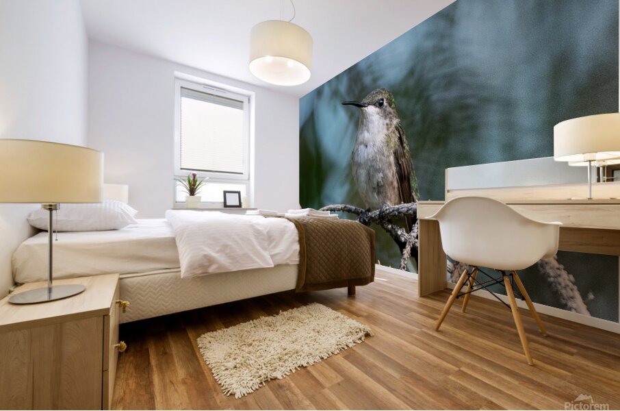 Female Ruby throated Hummingbird 1389 Mural print