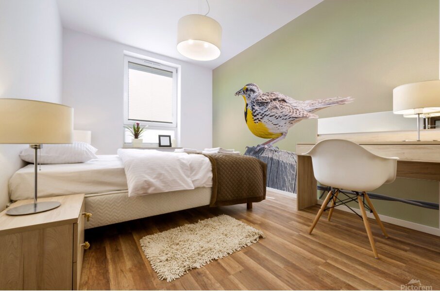 Western Meadowlark 0432 Mural print