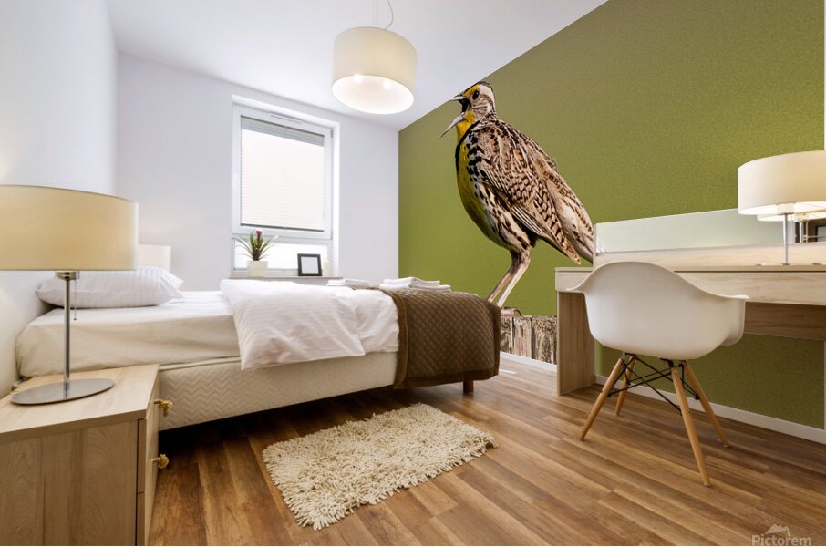 Western Meadowlark 9602 Mural print