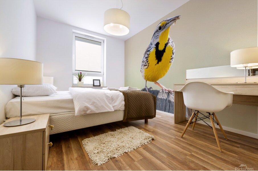 Western Meadowlark 0428 Mural print