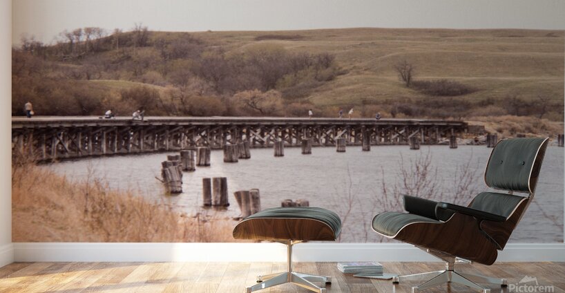 Kinookimaw Tressel Wall Murals