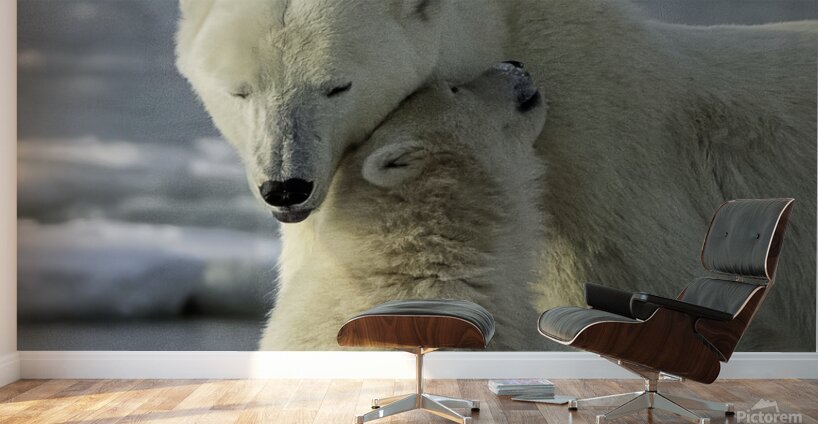 Polar Bear Mother and Cub Wall Murals