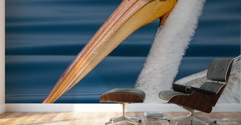 Pelican 1531 Wall Murals