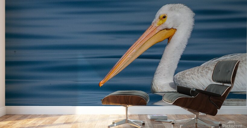 Pelican 1530 Wall Murals