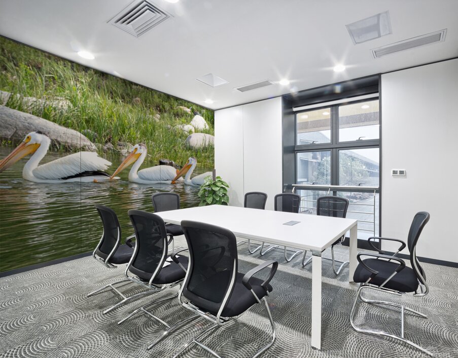 Pelicans 9847 Wall Printing