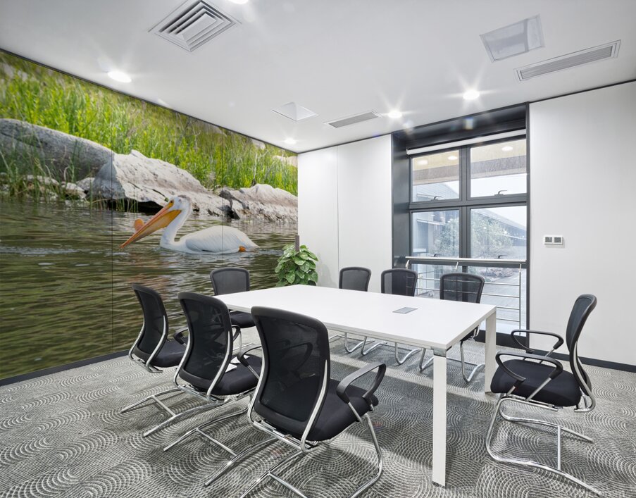 Pelicans 9842 Wall Printing