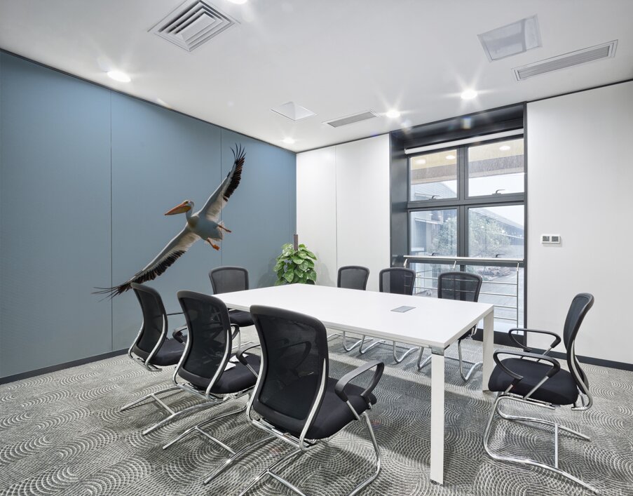 Pelicans 0651 Wall Printing