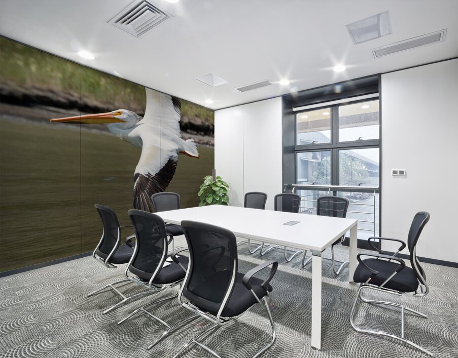 Pelicans 9976 Wall Printing