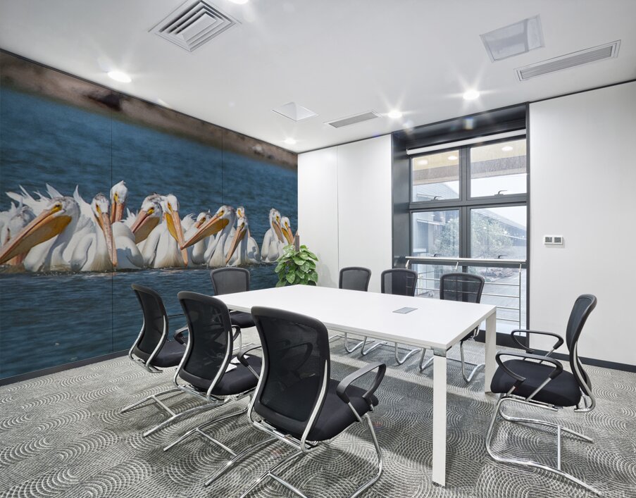 Pelicans 0150 Wall Printing