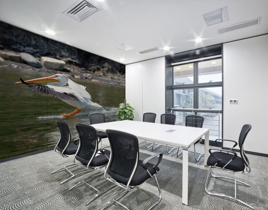 Pelicans 9989 Wall Printing