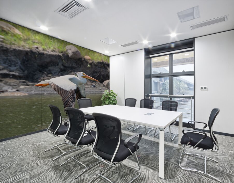 Pelicans 0008 Wall Printing