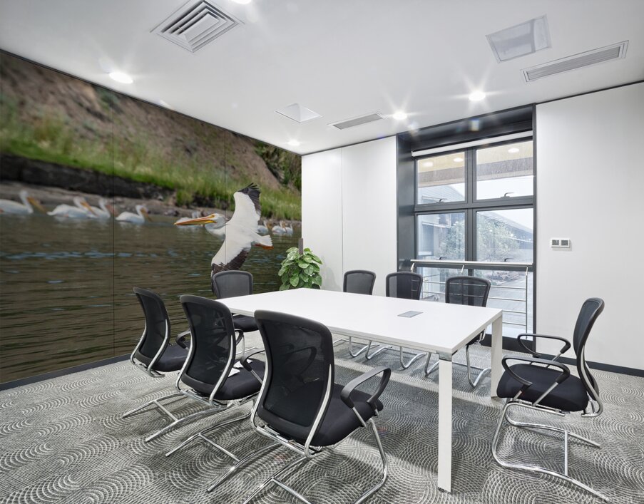 Pelicans 9972 Wall Printing