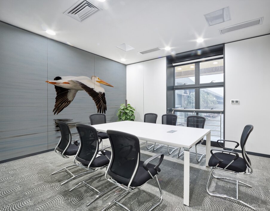 Pelicans 0253 Wall Printing