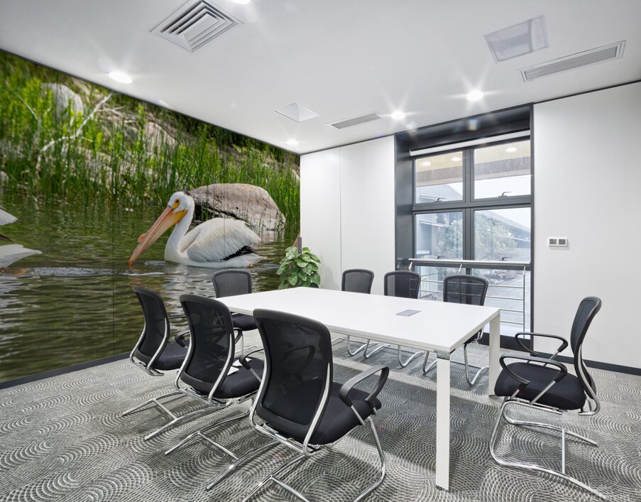 Pelicans 9837 Wall Printing