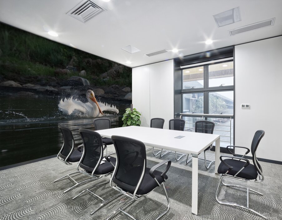 Pelicans 0292 Wall Printing