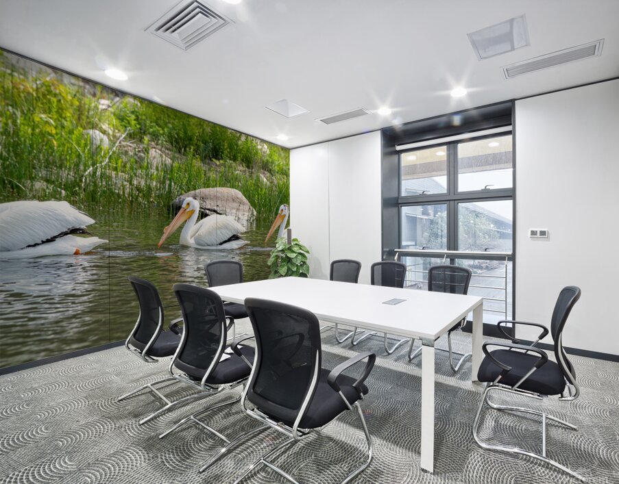 Pelicans 9836 Wall Printing