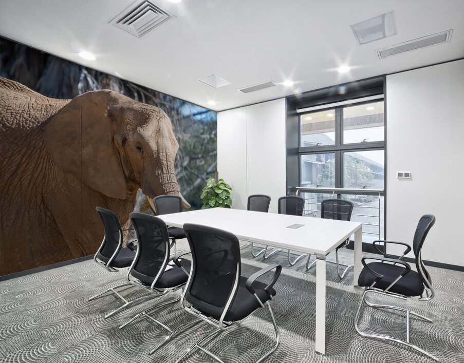 Elephant 7937 Wall Printing