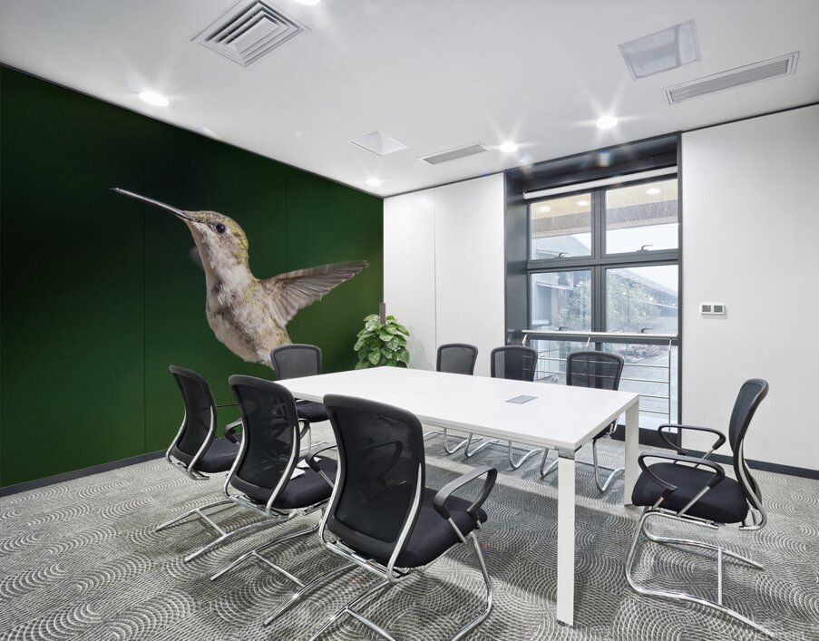 Female Ruby throated Hummingbird 0974 Wall Printing