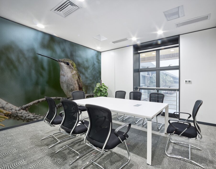 Female Ruby throated Hummingbird 1411 Wall Printing