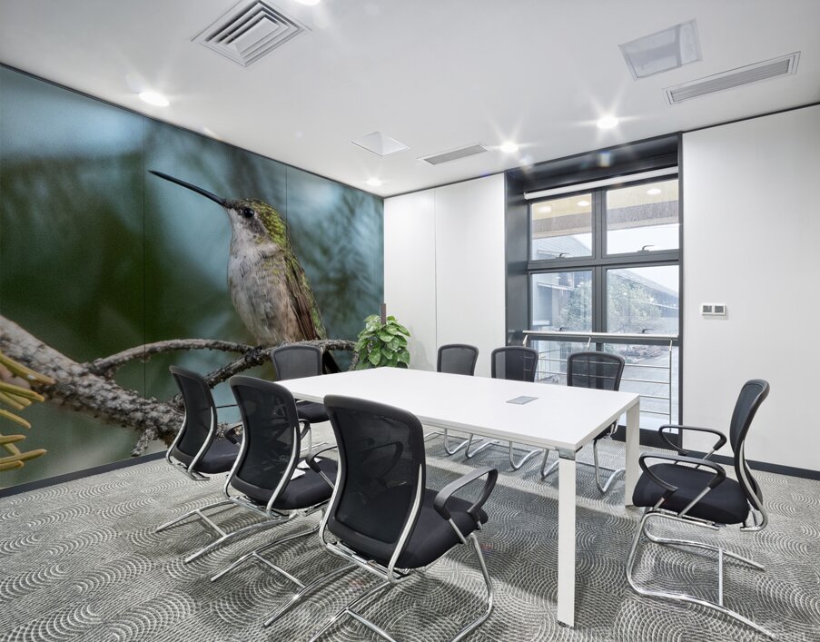 Female Ruby throated Hummingbird 1409 Wall Printing