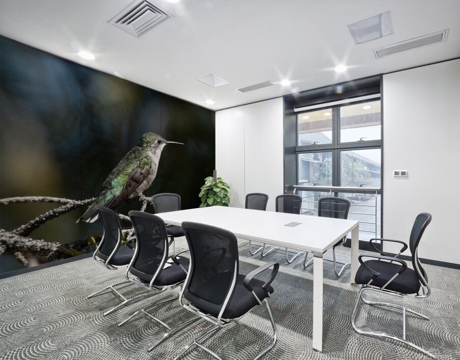 Female Ruby throated Hummingbird 1384 Wall Printing