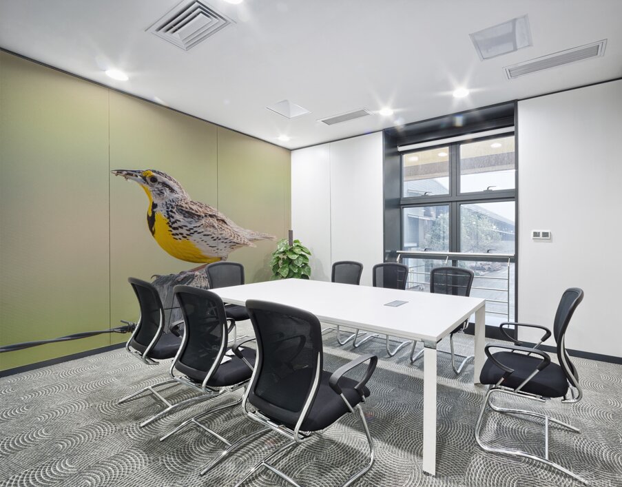 Western Meadowlark 0432 Wall Printing