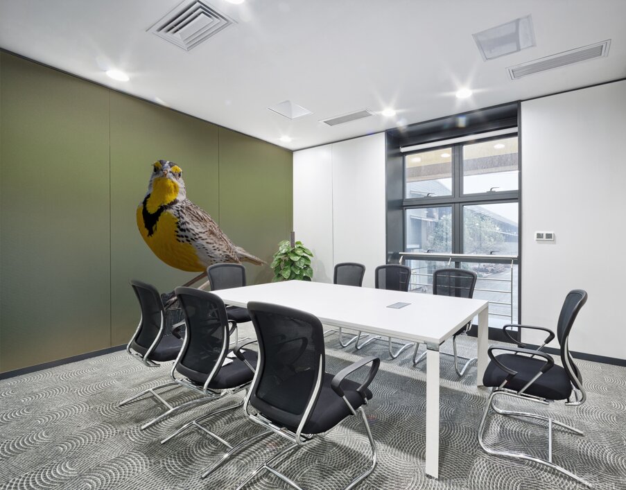 Western Meadowlark 0452 Wall Printing