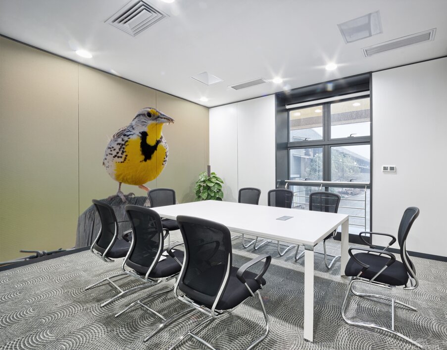 Western Meadowlark 0428 Wall Printing