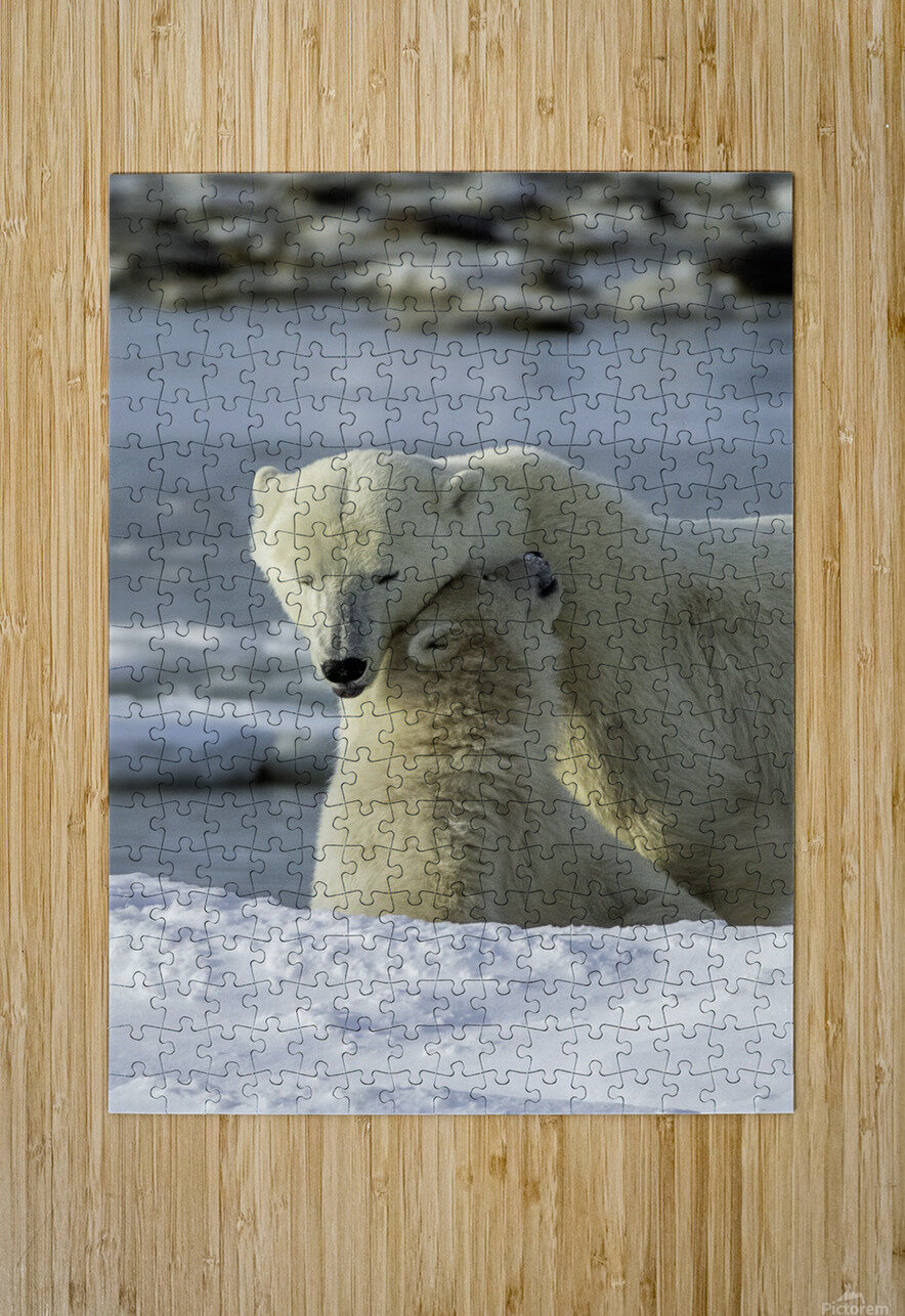 Polar Bear Mother and Cub Bryan Bosley Puzzle printing