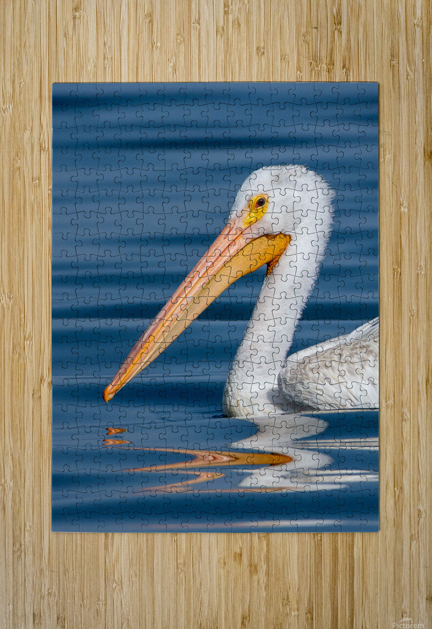 Pelican 1531 Bryan Bosley Puzzle printing