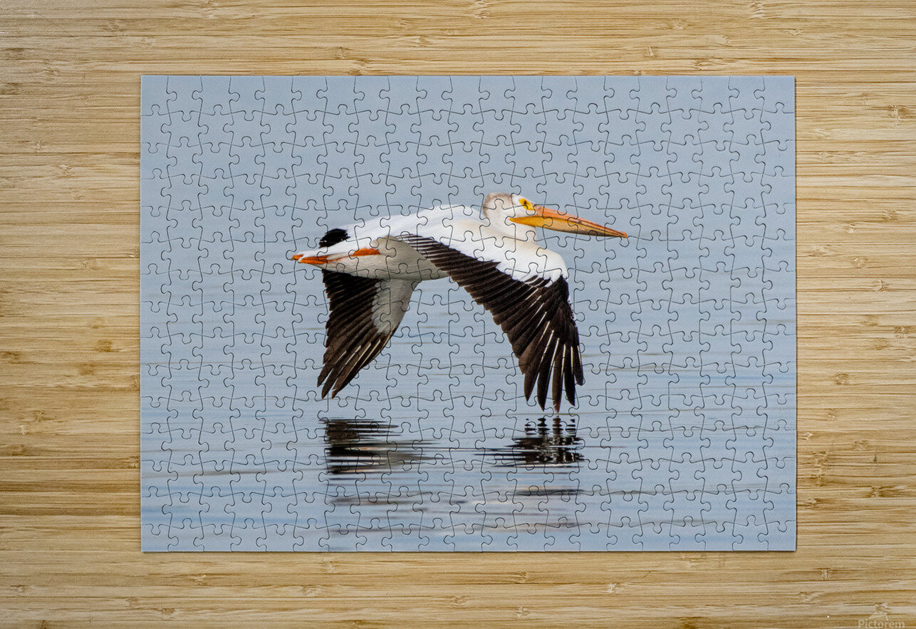 Pelicans 0253 Bryan Bosley Puzzle printing