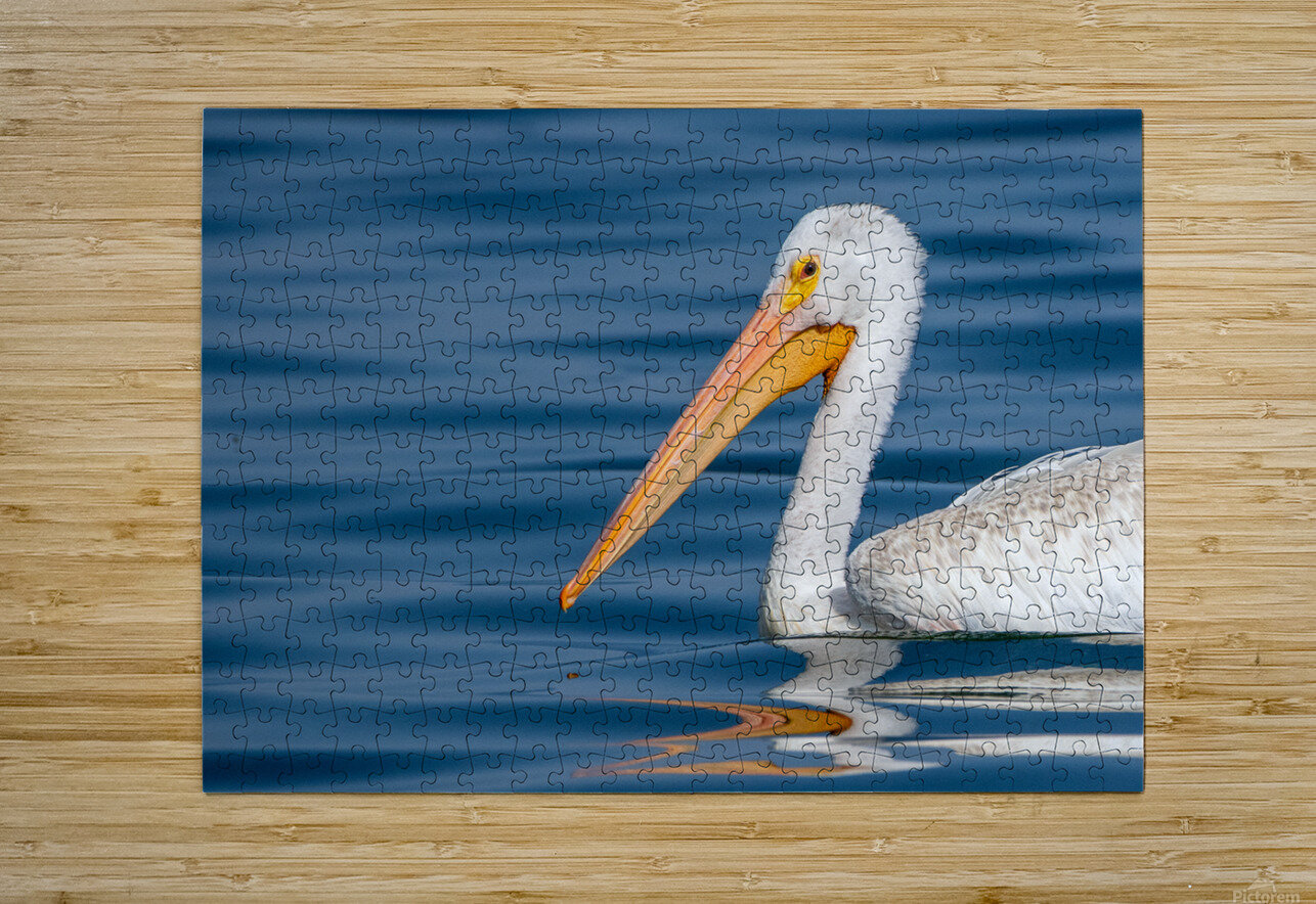 Pelican 1530 Bryan Bosley Puzzle printing