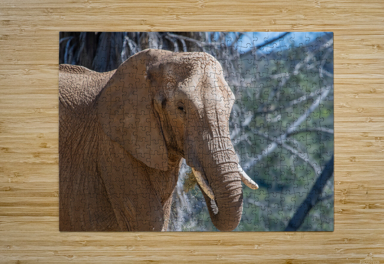Elephant 7937 Bryan Bosley Puzzle printing
