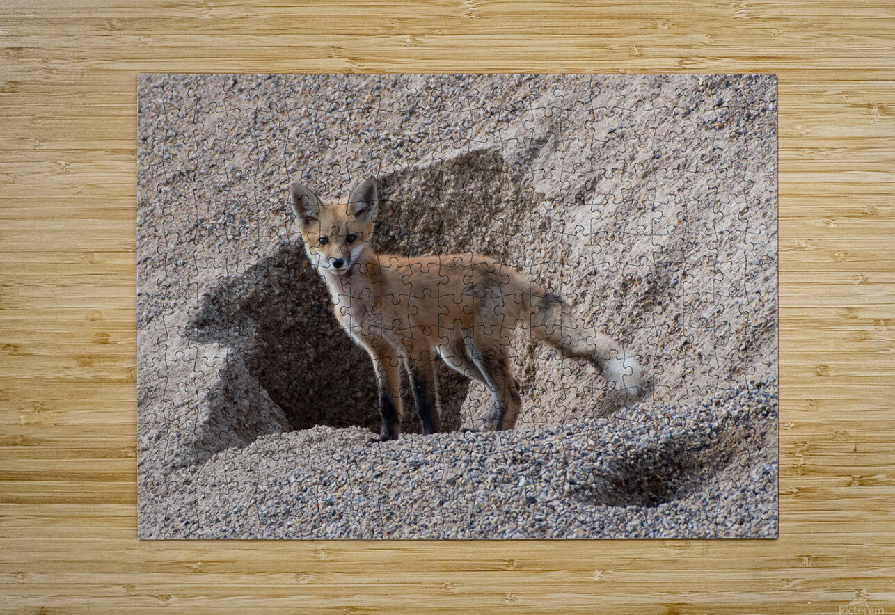 Red Fox 9081 Bryan Bosley Puzzle printing