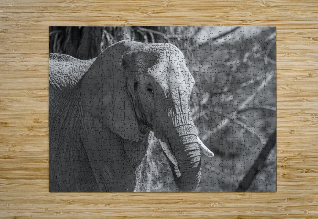 Elephant BW 7937 Bryan Bosley Puzzle printing