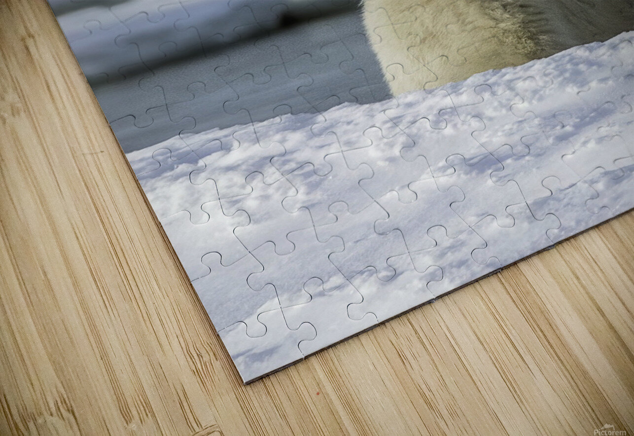 Polar Bear Mother and Cub Bryan Bosley Puzzle