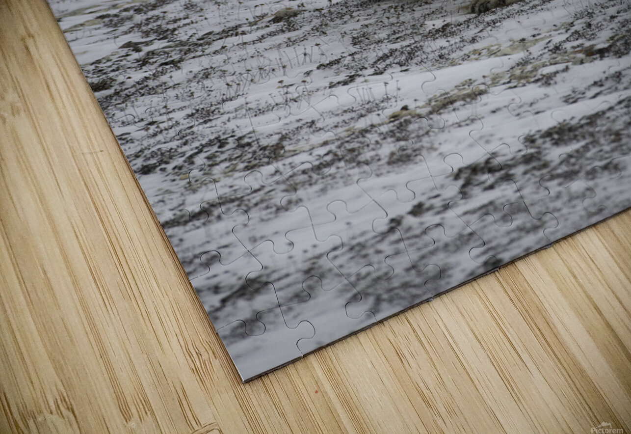 Polar Bear 4578 Bryan Bosley Puzzle