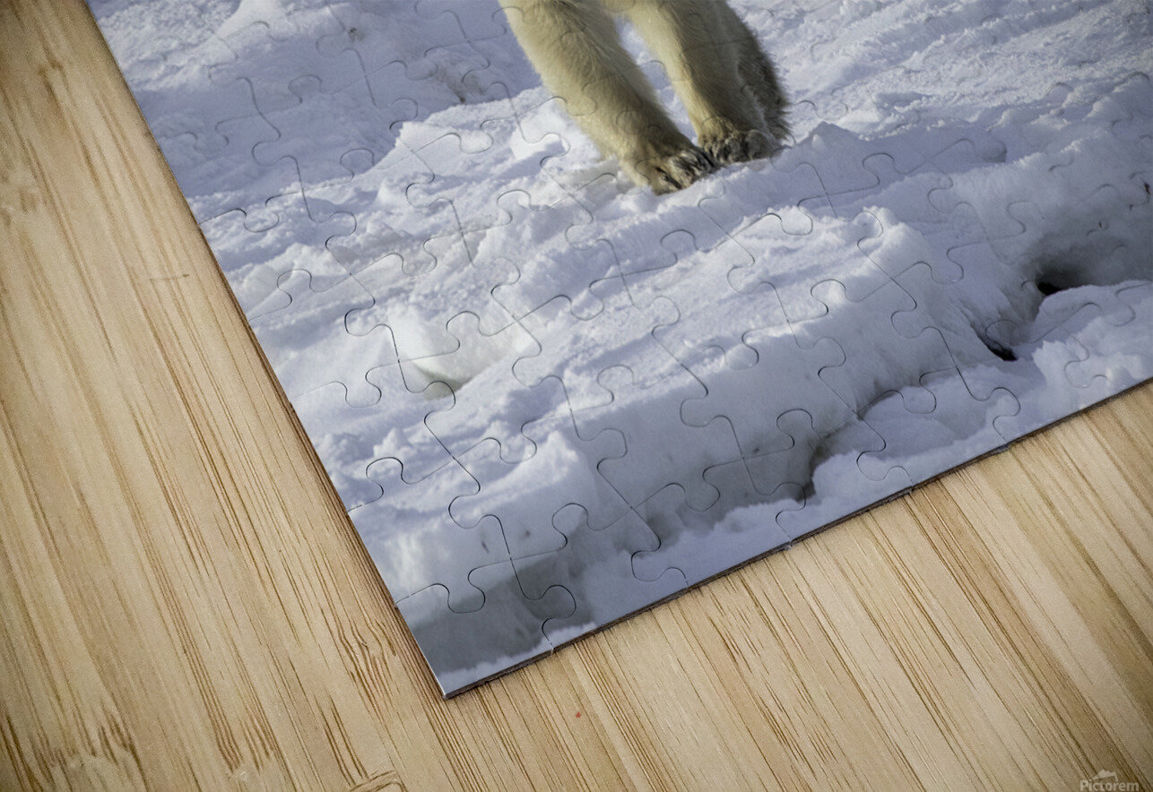 Polar Bear Mother and Cubs Bryan Bosley Puzzle