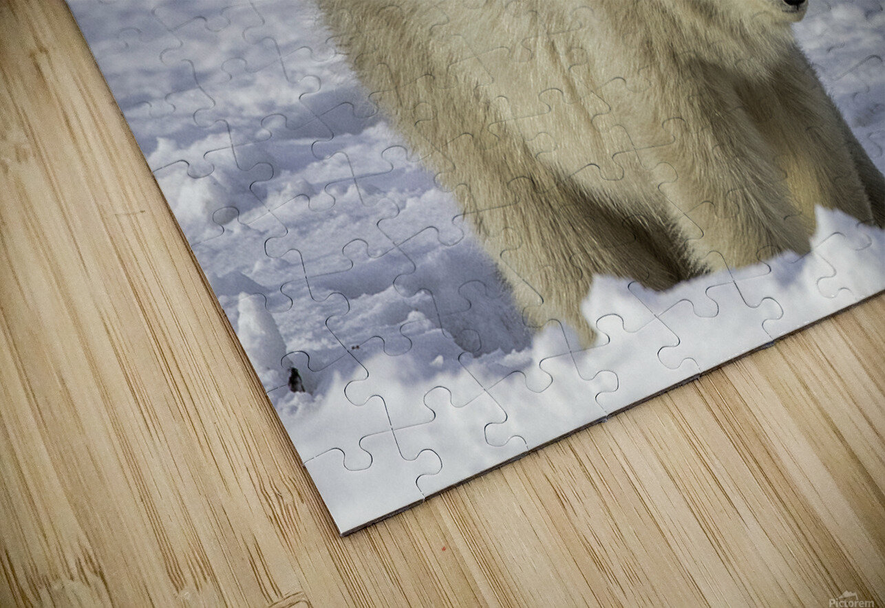 Polar Bear Mother and Cubs Bryan Bosley Puzzle