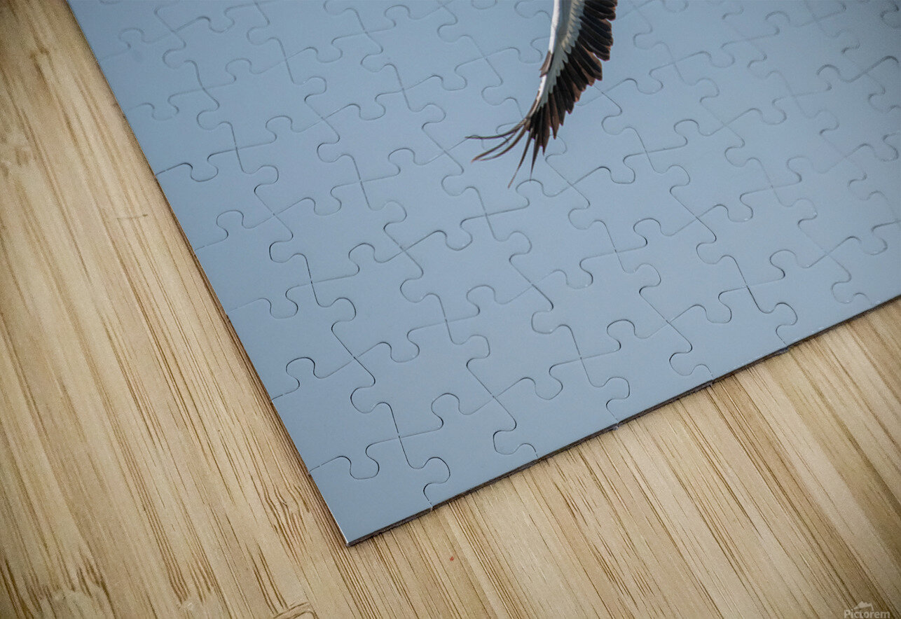 Pelicans 0651 Bryan Bosley Puzzle