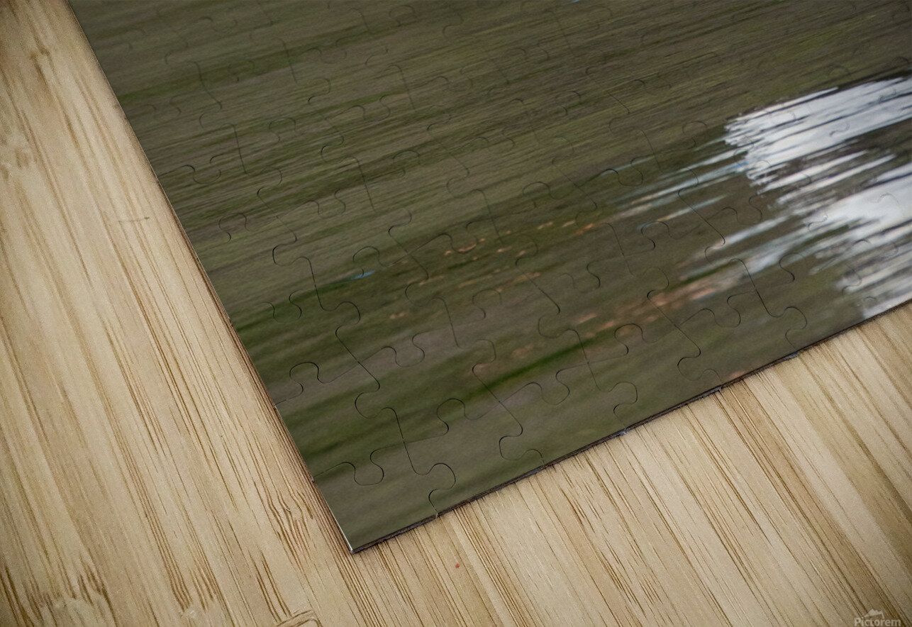 Pelicans 9976 Bryan Bosley Puzzle