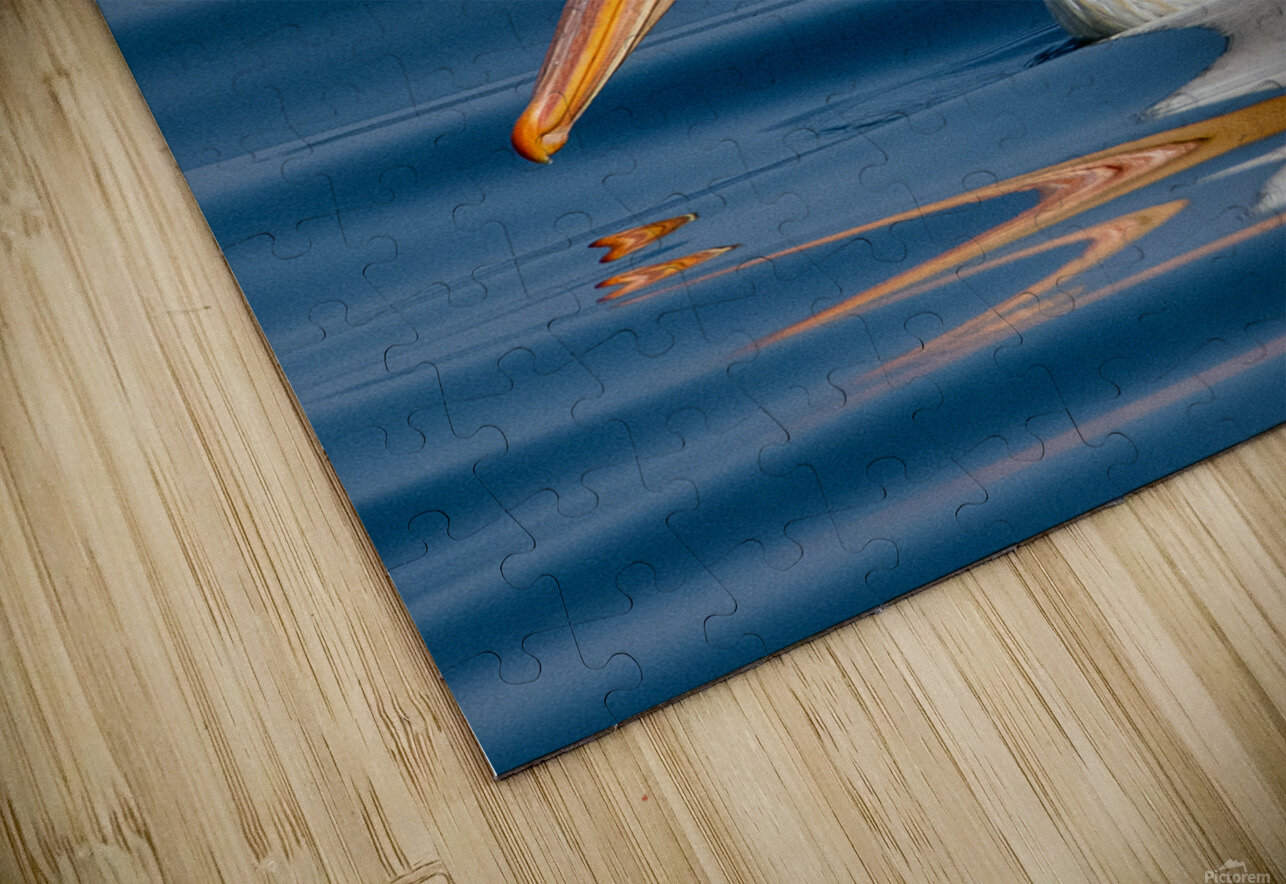 Pelican 1531 Bryan Bosley Puzzle