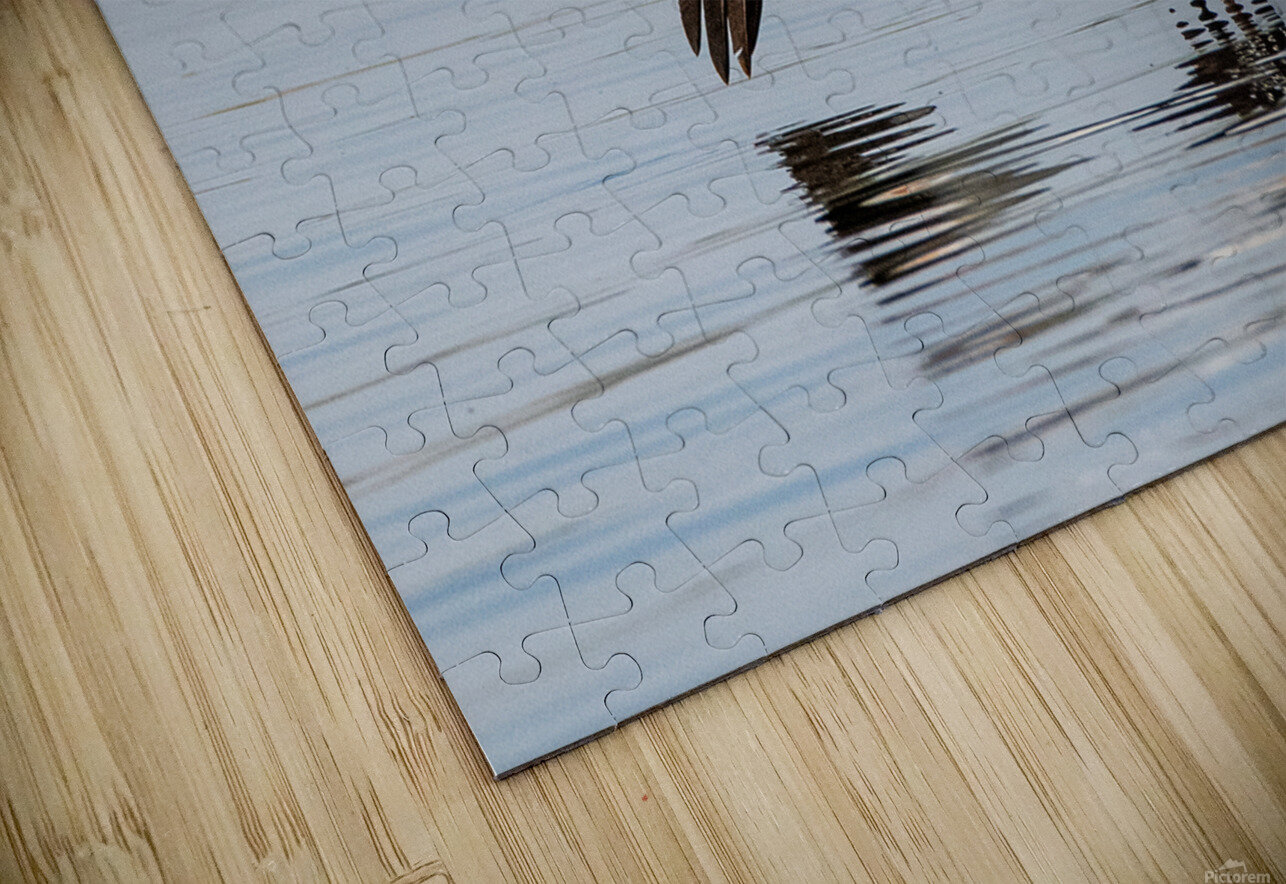 Pelicans 0253 Bryan Bosley Puzzle