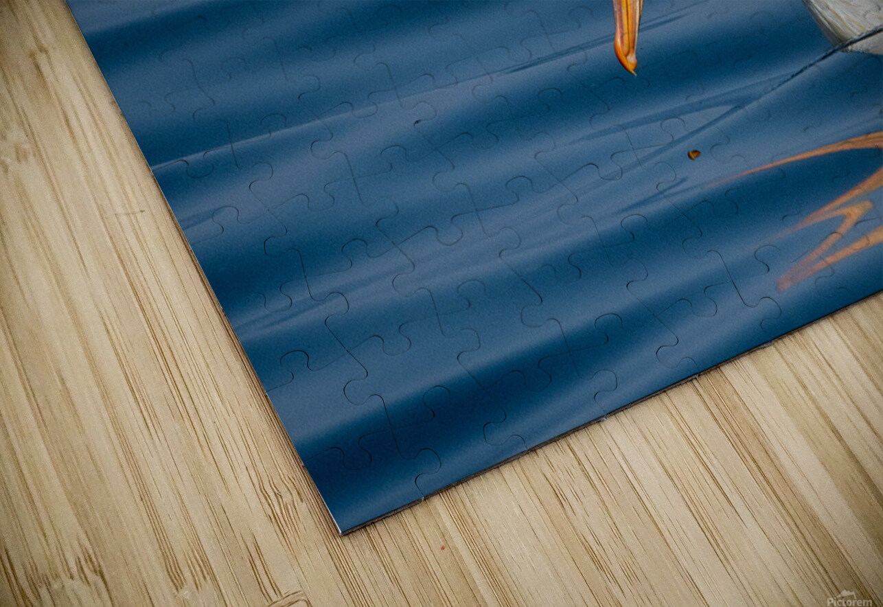 Pelican 1530 Bryan Bosley Puzzle